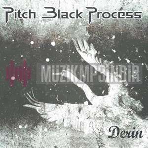 دانلود آلبوم Derin (2023) از Pitch Black Process