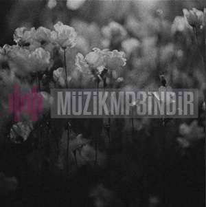 دانلود آلبوم Sonsuza (2024) از Quakpapa