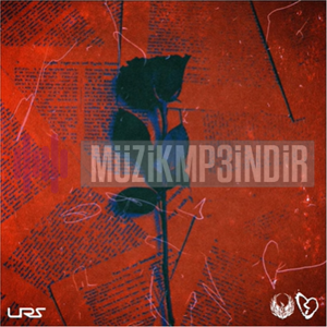 دانلود آلبوم Reddrose (2022) از Reddmorry