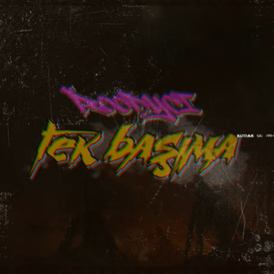 دانلود آلبوم Tek Başıma (2020) از Roody