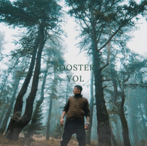دانلود آلبوم Yol (2020) از Rooster