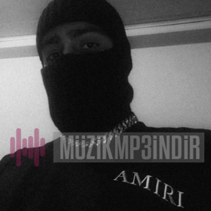 دانلود آلبوم Amiri (2023) از Sako