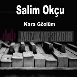 دانلود آلبوم Kara Gözlüm (2019) از Salim Okçu