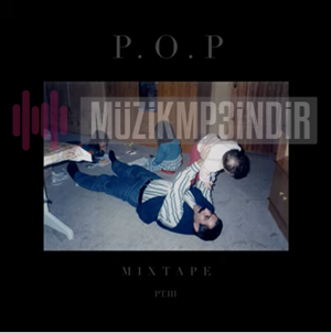 دانلود آلبوم POP Mixtape (2023) از Şam