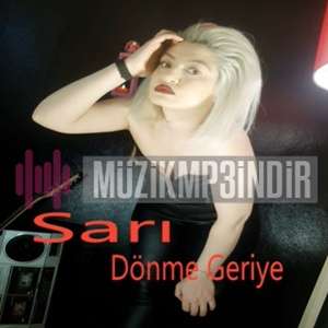 دانلود آلبوم Dönme Geriye (2022) از Sarı