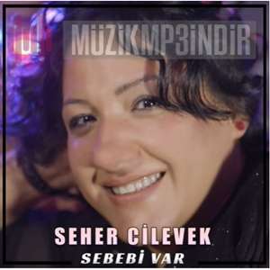 دانلود آلبوم Sebebi Var (2022) از Seher Civelek