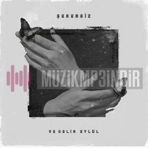 دانلود آلبوم Ve Gelir Eylül (2022) از Şekersiz