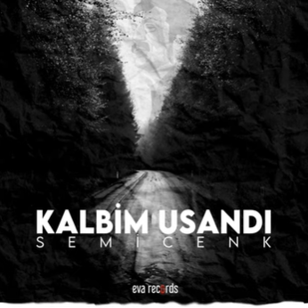 دانلود آلبوم Kalbim Usandı (2021) از Semicenk