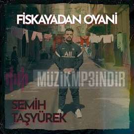 دانلود آلبوم Fiskayadan O Yani (2022) از Semih Taşyürek
