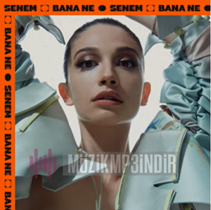 دانلود آلبوم Bana Ne (2023) از Senem