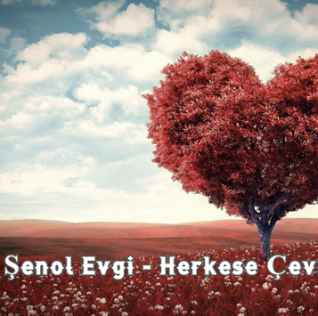 دانلود آلبوم Herkese Çevrimiçi (2020) از Şenol Evgi