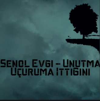 دانلود آلبوم Unutma Uçuruma İttiğini (2021) از Şenol Evgi