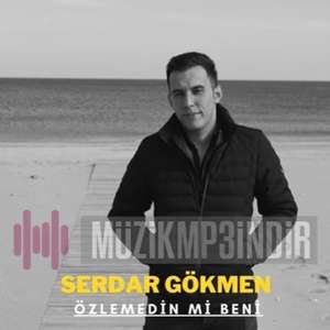 دانلود آلبوم Özlemedin mi Beni (2022) از Serdar Gökmen