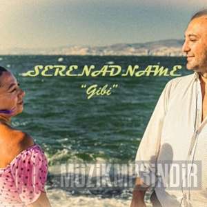 دانلود آلبوم Gibi (2022) از Serenadname