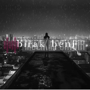 دانلود آلبوم Bırak Beni (2024) از Serhat Erdem