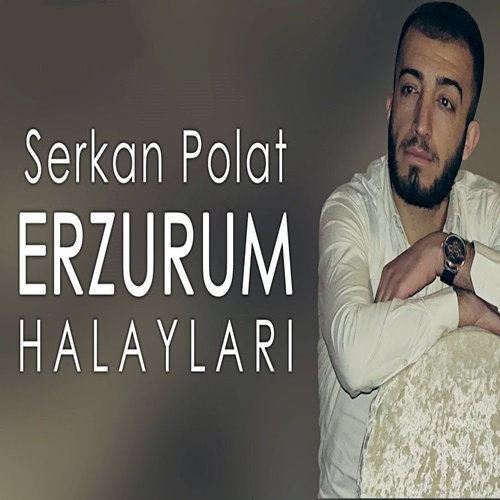 دانلود آلبوم Erzurum Halayları (2020) از Serkan Polat