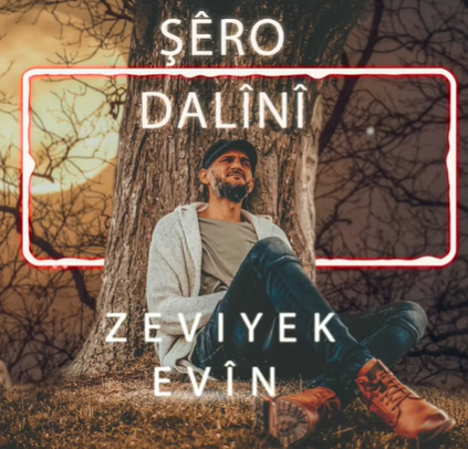دانلود آلبوم Zeviyek Evin (2020) از Şero Dalini