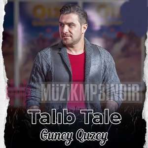 دانلود آلبوم Güney Quzey (2023) از Talib Tale