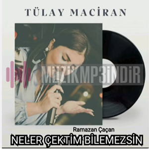دانلود آلبوم Neler Çektim Bilemezsin (2023) از Tülay Maciran