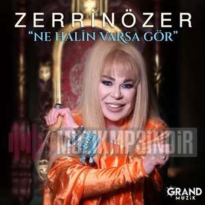 دانلود آلبوم Ne Halin Varsa Gör (2024) از Zerrin Özer