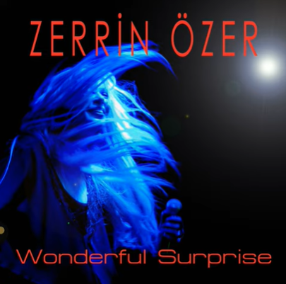 دانلود آلبوم Wonderful Surprise (2020) از Zerrin Özer