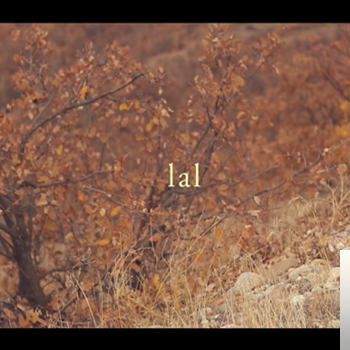 Essay ida dillan find you перевод